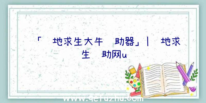 「绝地求生大牛辅助器」|绝地求生辅助网u